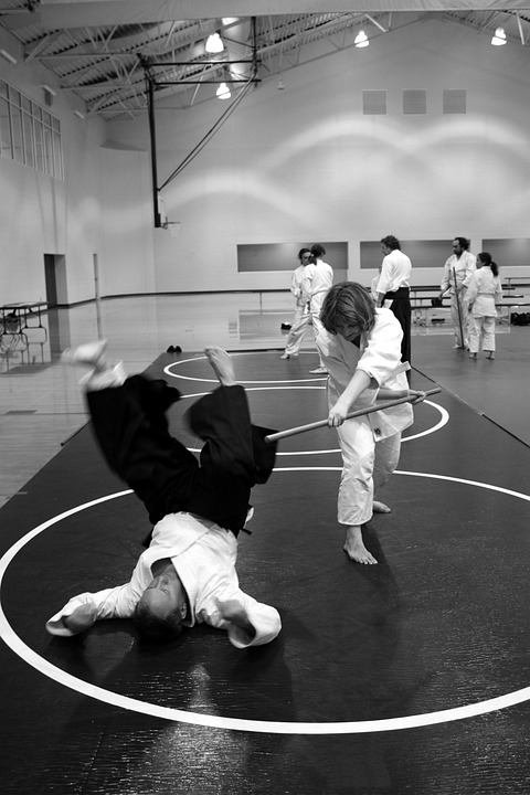 MAA 2024 Schedule | Malaysia Aikido Association