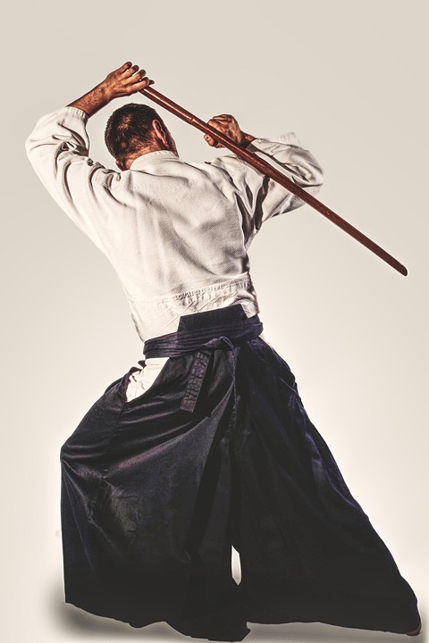 Pro-Sessions Aikido – Dewey Way