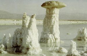 Pillar-of-Salt